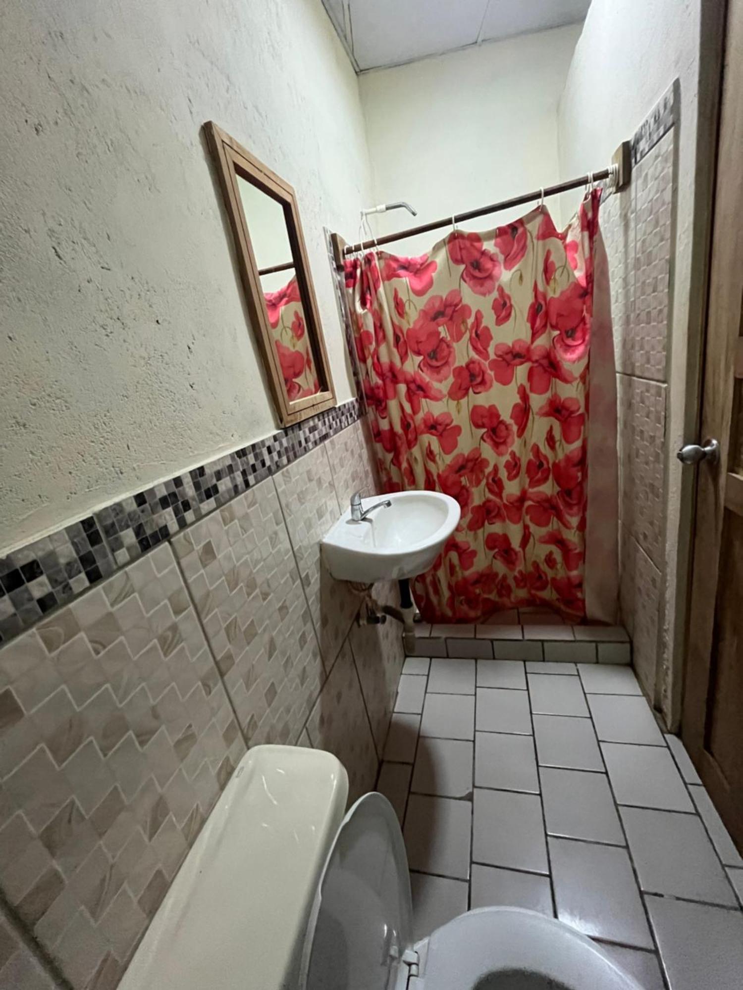 Valerie Emanuel Apartments Bocas Town Kültér fotó